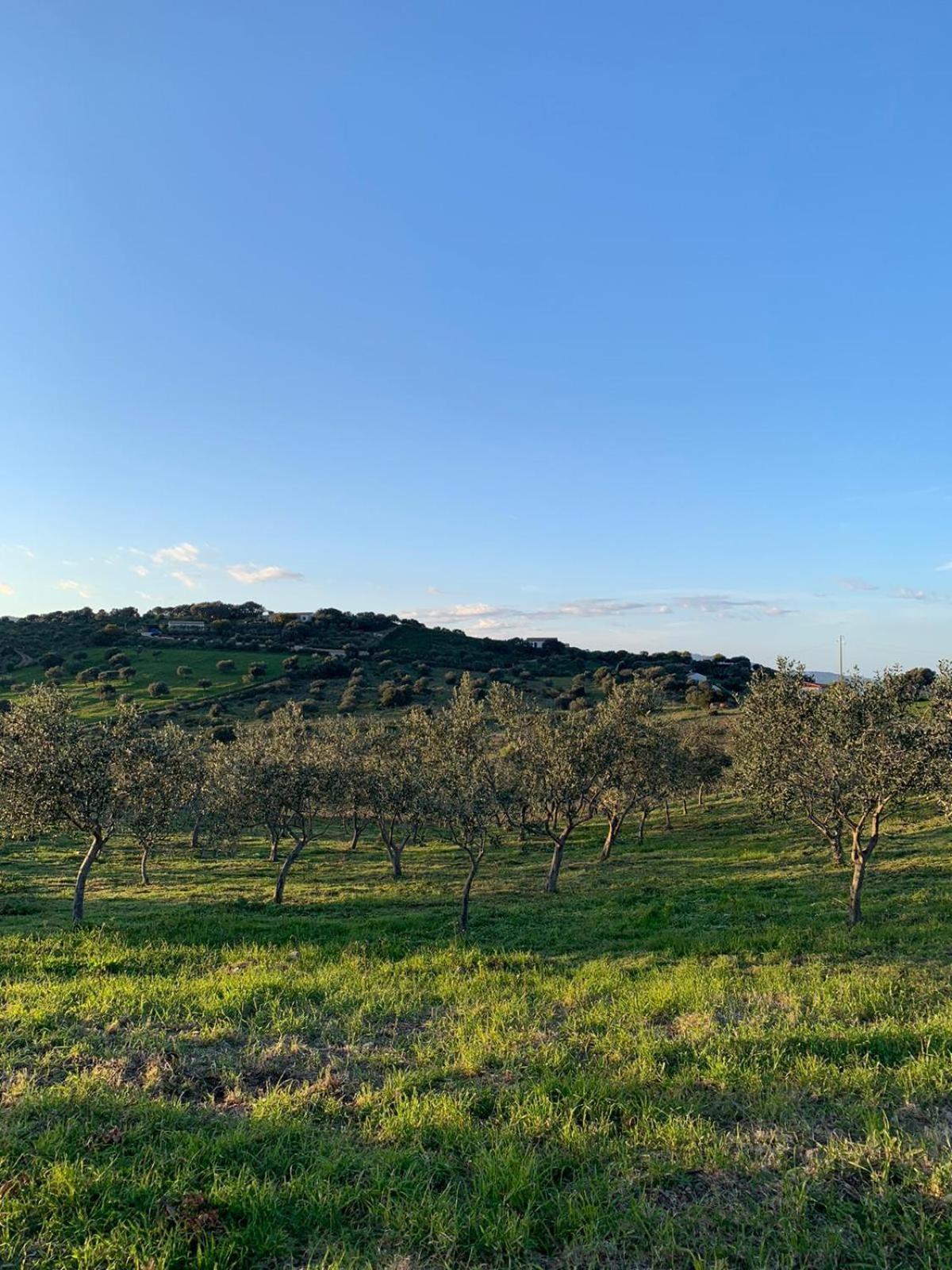 גולפו אראנצ'י Macciuneddu Country Retreat מראה חיצוני תמונה